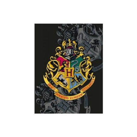 Harry Potter polár takaró