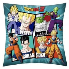 Dragon Ball díszpárna