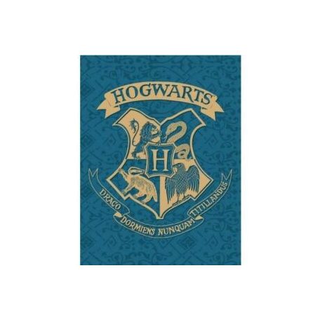 Harry Potter polár takaró