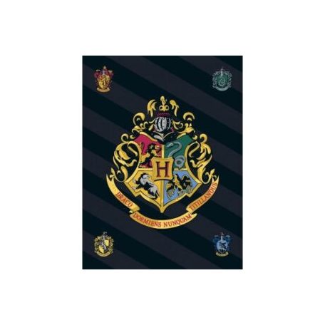 Harry Potter polár takaró/fekete